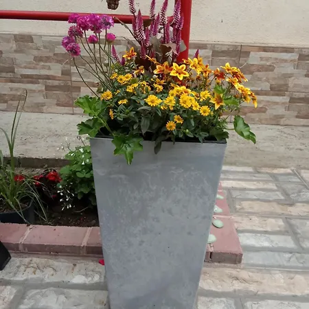 Kallithea Două Mai