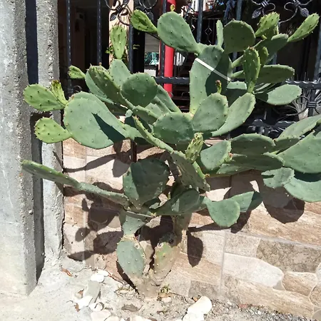 Kallithea بيت ضيافة