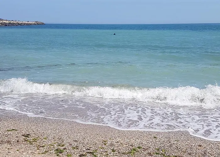 Kallithea دووا مايْ