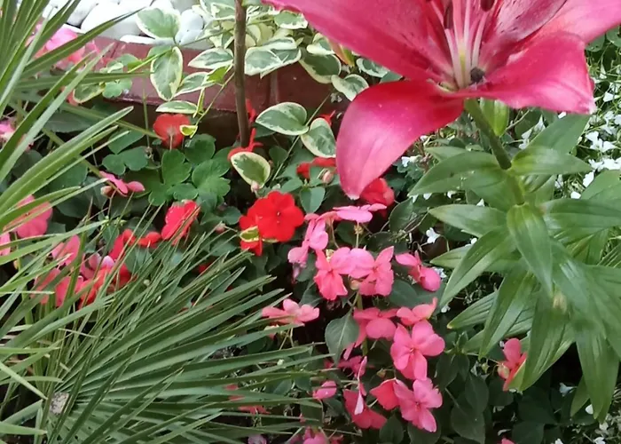 بيت ضيافة Kallithea