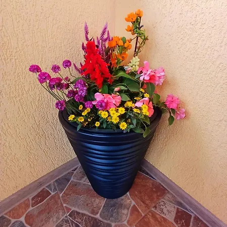 Kallithea 3* Două Mai