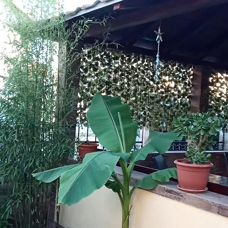 Kallithea Vendégház Două Mai