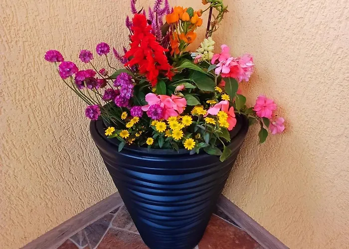 Kallithea 3* Două Mai