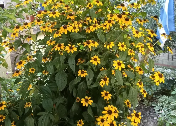 Guest house Kallithea