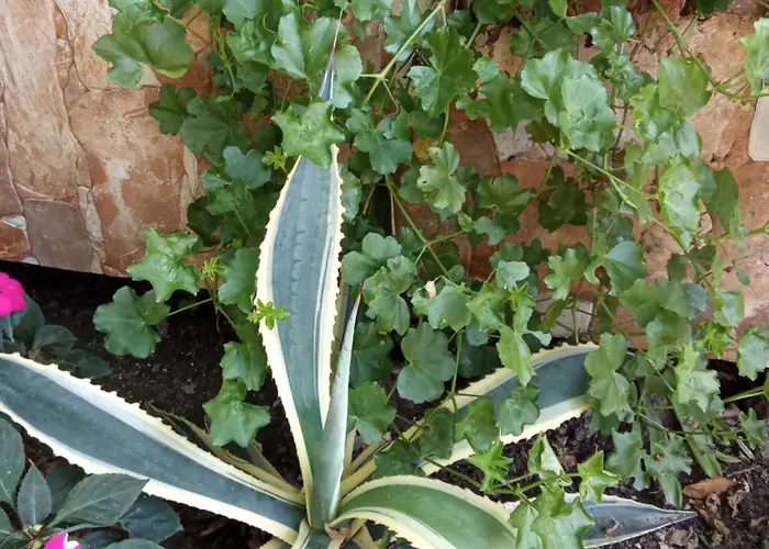 Kallithea Vendégház